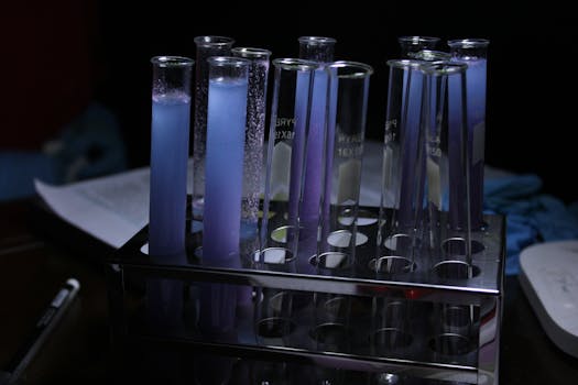 Illustration related to The Top 10-12 Penetration Testing Companies