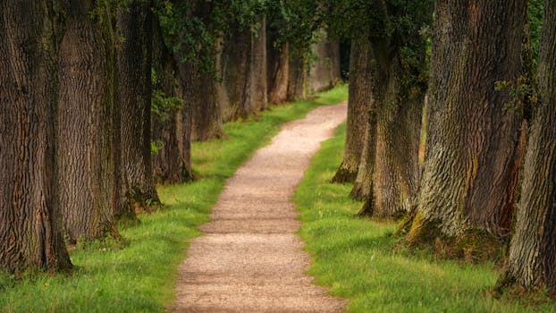 Illustration related to The path most SaaS companies actually take